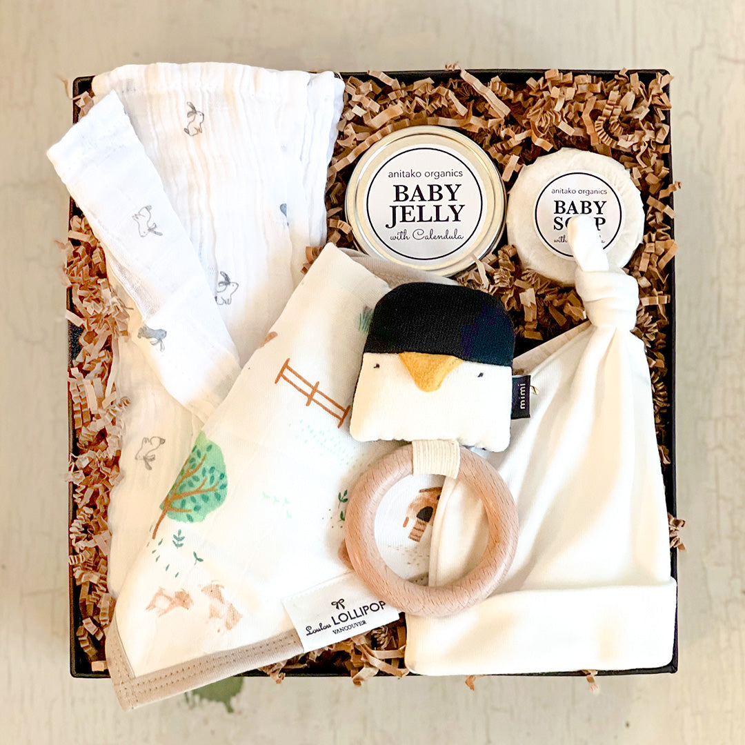 NEW BABY ESSENTIALS Toronto Gift Boxes Gift Baskets Present Day