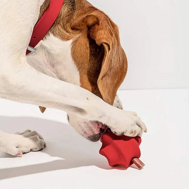 DOG TOY - Red Twist Toss Throw Toy